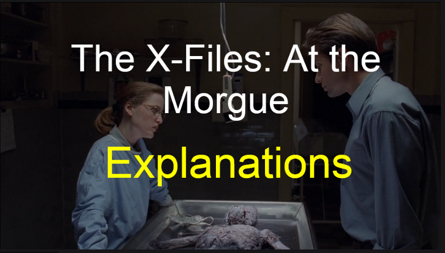 آموزش زبان انگلیسی با فیلم – At the morgue – قسمت دوم: توضیحات